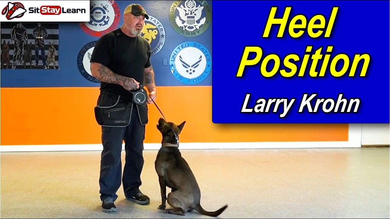 Intro to Heel Position with Larry Krohn