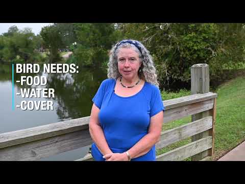 FOLLOW HABITAT CLUES TO IMPROVE YOUR BIRDING SKILLS (video)
