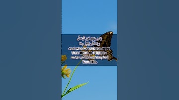 قرآن الكريم سورة آل عمران الآية 84The Holy Quran, Surah Al Imran, Verse 84 #قران_كريم #انقذوا_غزة