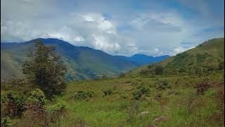 si Bolang,sogokmo Wamena