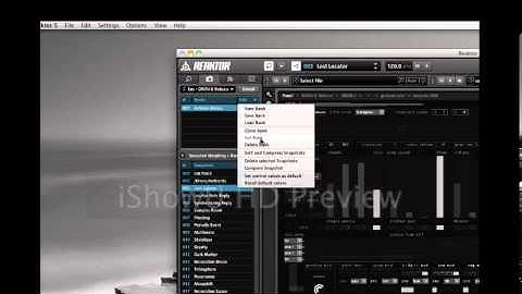 Loading Snapshots and Samples into Reaktor DRON-E.mov
