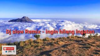 Dj slow Remix || ingin Hilang Ingatan