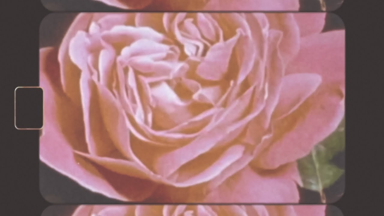 Taylor Swift Daylight slowed YouTube taylor-swift-daylight-slowed-youtube