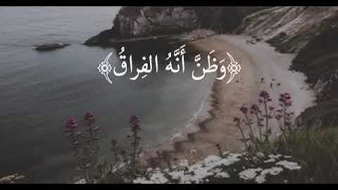 سوره القيامه بصوت ماهر المعيقلى🍀|حالات واتس اب 💕