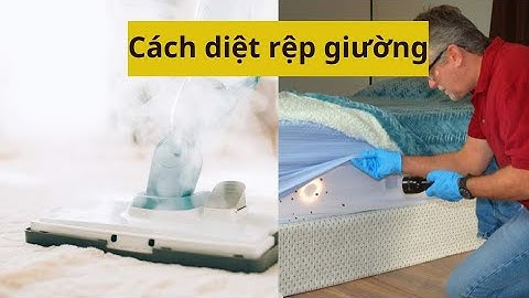 Cách diệt rệp giường và ngăn ngừa rệp