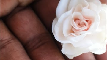 1 मार्च फाल्गुन शनिवार द्वितीया तिथि के दिन इस जगह फेंक देना 1 मुट्ठी नमक 1 महीने में.#pradeepmishra