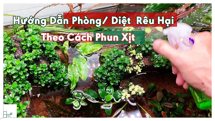 Hướng dẫn sử dụng cidex 14 ngày