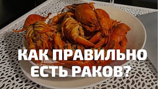 Где поесть раков в Сочи. Самая вкусная и быстрая доставка раков. Как правильно есть раков? Цены Сочи