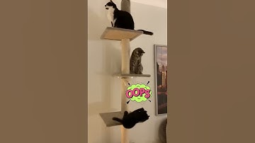 TRY NOT TO LAUGH 🤣 #94 | 2023 FUNNY FAILS COMPILATION #shorts #trynottolaugh #funny #fails