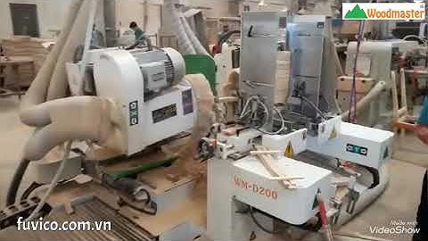 Woodmaster | Máy phay mộng dương 2 đầu CNC WM-D200CNC