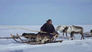 Великий Северный Путь   Трейлер 2017