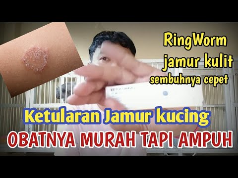 Video: Cara Mengobati Jamur Pada Anak