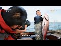 一米多长的鱼见过没？在新疆福海这种“狗鱼”营养价值极高！《新疆味道》特色美食（二）【CCTV纪录】