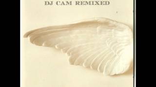 Dj Cam - Swim (Conforce Remix)