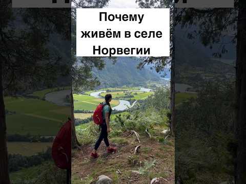 Почему живём в