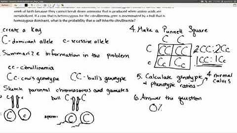 solving basic genetics problems