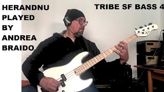 Herandnu (A. Johnson) played by Andrea Braido on bass