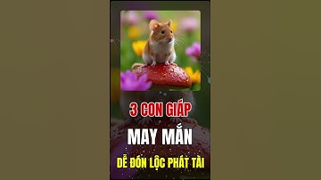 3 con giáp, gặp nhiều may mắn, dễ đón lộc phát tài to và giàu sang rực rỡ trong kinh doanh.