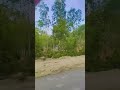 #lifeisbutadream #automobile #song #ekmotahathighumechala