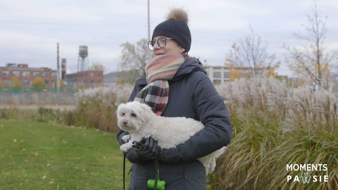 Parlez Nous De Votre Animal Moments Pawsie - 