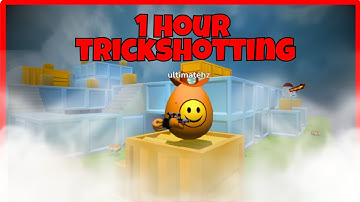 1 HOUR To Hit As MANY Clips I Could // Shell Shockers Challenge