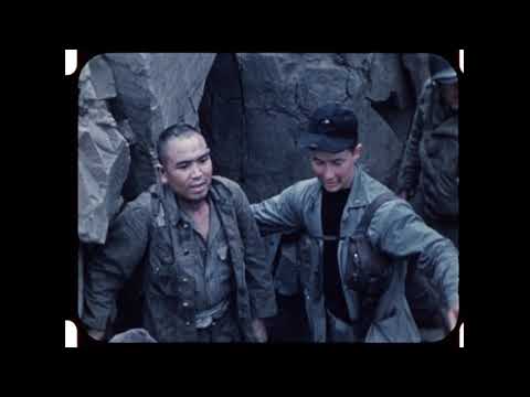 World War II in HD: Iwo Jima | History