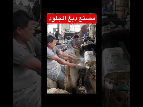 مصنع دبغ الجلود   