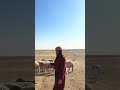 كي دبي كورد نزانن ريميكس Ki D Bena Nazanin Remix كي دبي كورد نزانن ريميكس Ki D Bena Nazanin Remix