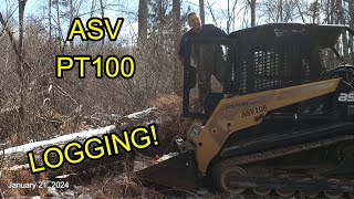 Logging and Skidding with (Bess) ASV PT-100 Multi Terrain Loader by Nature's Cadence Farm 127 views 3 months ago 15 minutes