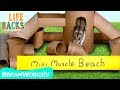 Hamster Jungle Gym + Other Small Pet Hacks | LIFE HACKS FOR KIDS | DIY #withme