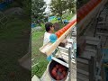 Marble Run ☆ Guppy Ball Run①