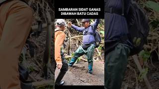 Sambaran Sidat Ganas Di Bawah Batu Cadas dekdoer