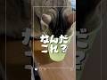 【熱中症予防】保護猫達が送る皆様への注意喚起が可愛すぎる#shorts #cat #猫のいる暮らし