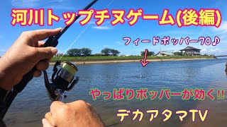 河川のトップチヌ(後編)やっぱりポッパーが効く‼︎