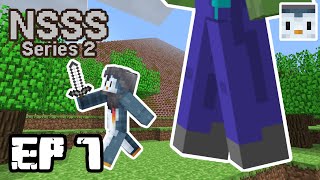 EP7 - Pyramid Perception!! - NSSS Series 2
