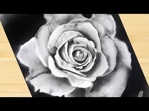 Flower Drawing with White Charcoal Pencil for Beginners