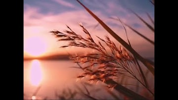 سورة الغاشية تلاوة الشيخ عصام حمود