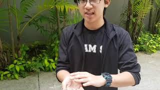 CDIO DMRO Project FINAL