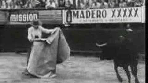 Patricia McCormick, Bullfighter
