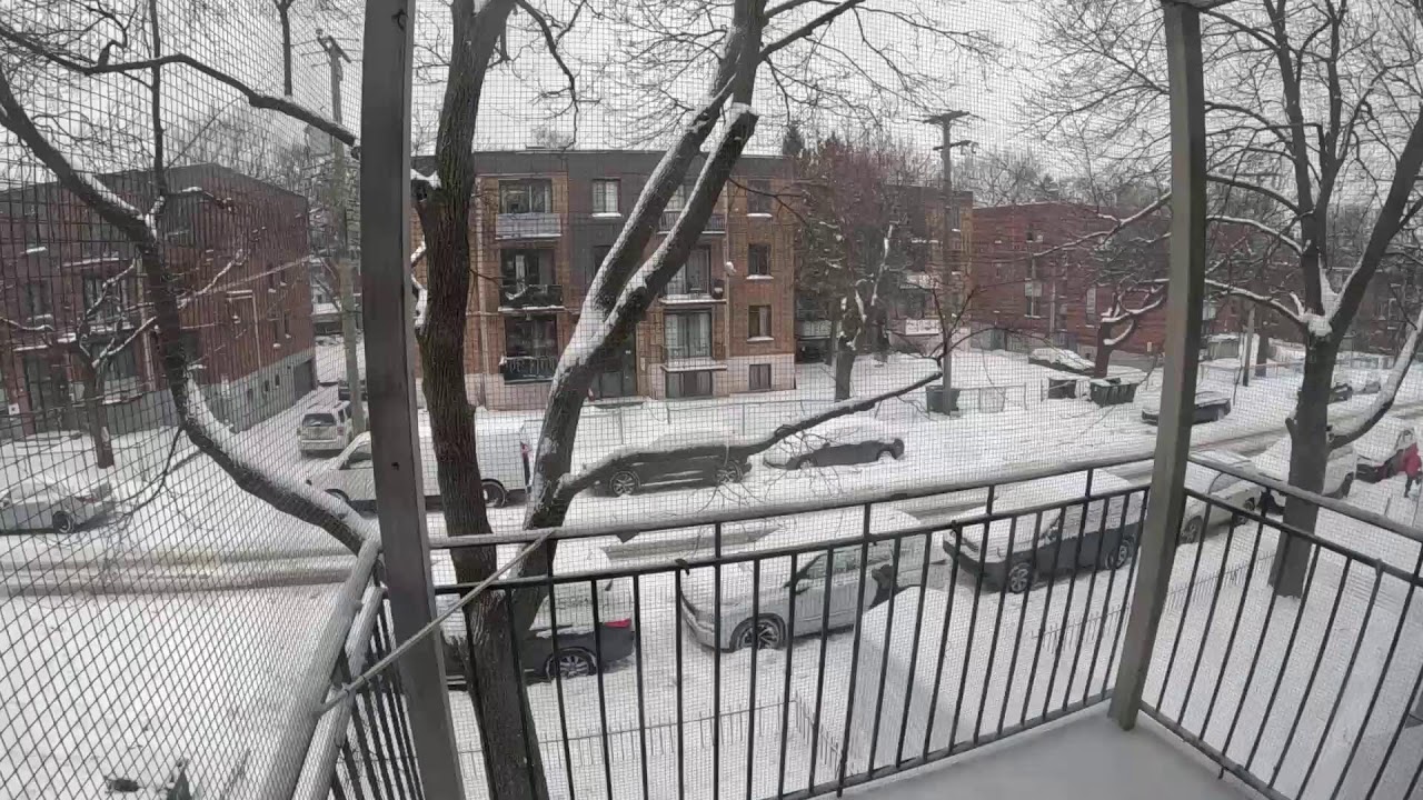 Snowing  again in Montreal