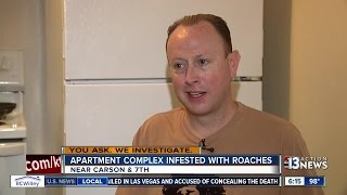 Las Vegas man says his apartment is full of roaches