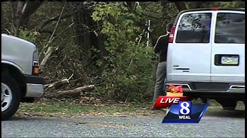 Forensic anthropologists, detectives examine skeletal remains