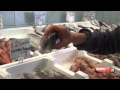 Come riconoscoere il pesce di buona qualità - pt.1