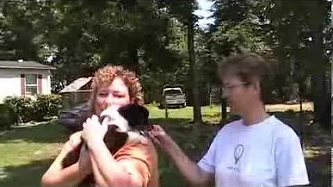 MOV008 - Dena Lynch & Melissa Griffin July 2013