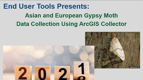 2nd Offering: GM 2021 Data Collection using ArcGIS Collector (Gypsy Moth)