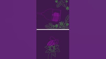 Animation of YAHAV 2400 applying pollen grains