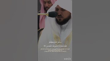 ما تيسر من سورة {الإسراء} بصوت ألشيخ ماهر المعيقلي✨.