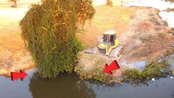 Great activities Full Processing Dozer SHANTUI DH17C2 pushing pushing Cleaning  Forest in project