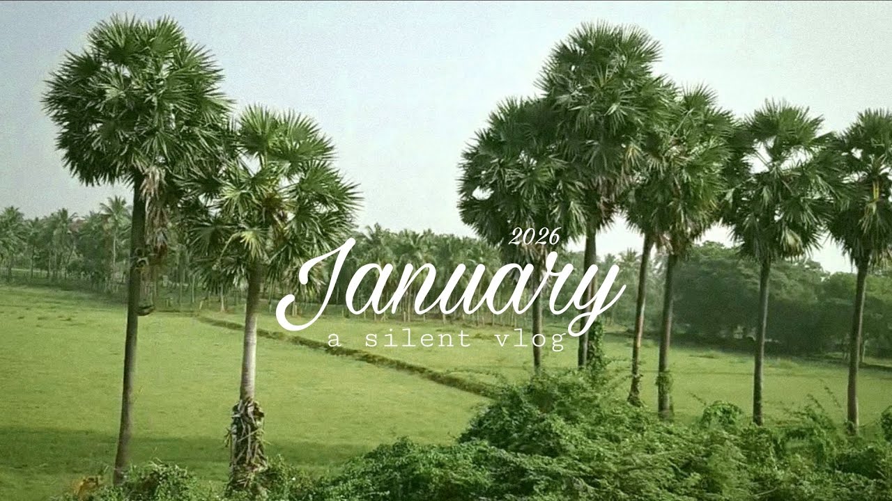 January, in Passing | a quiet month
