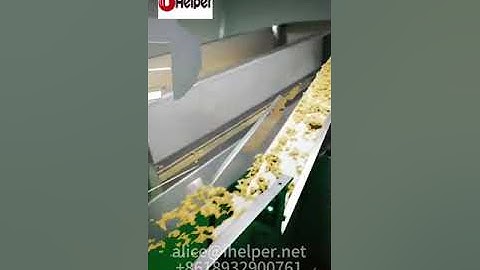 Auto dough sheet rolling machine for dumpling and wonton